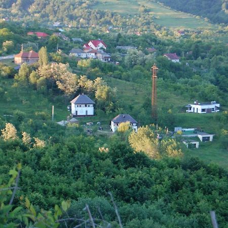 Cottage Poe Poienari Bagian luar foto