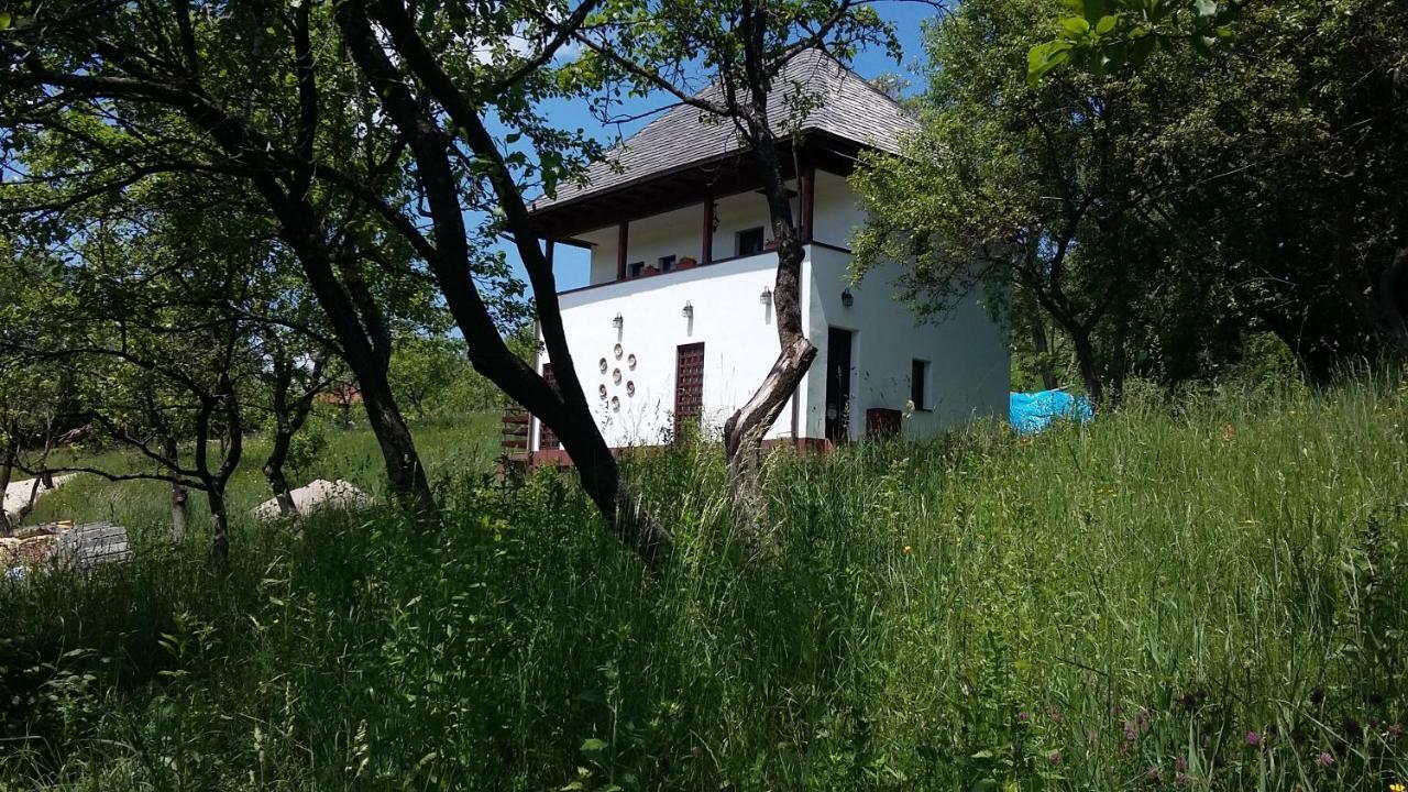 Cottage Poe Poienari Bagian luar foto