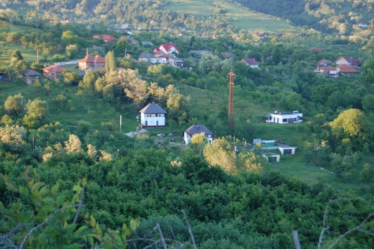 Cottage Poe Poienari Bagian luar foto