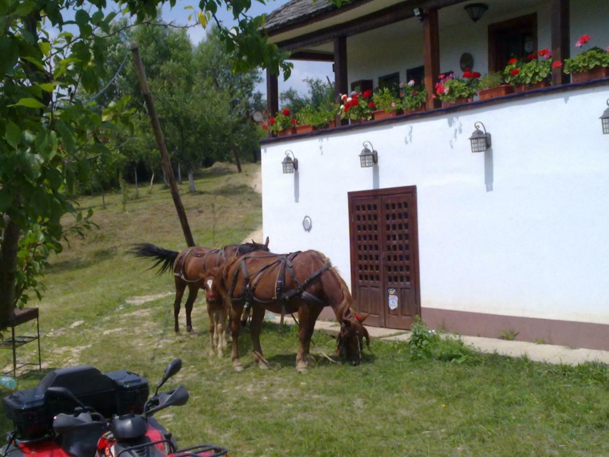 Cottage Poe Poienari Bagian luar foto