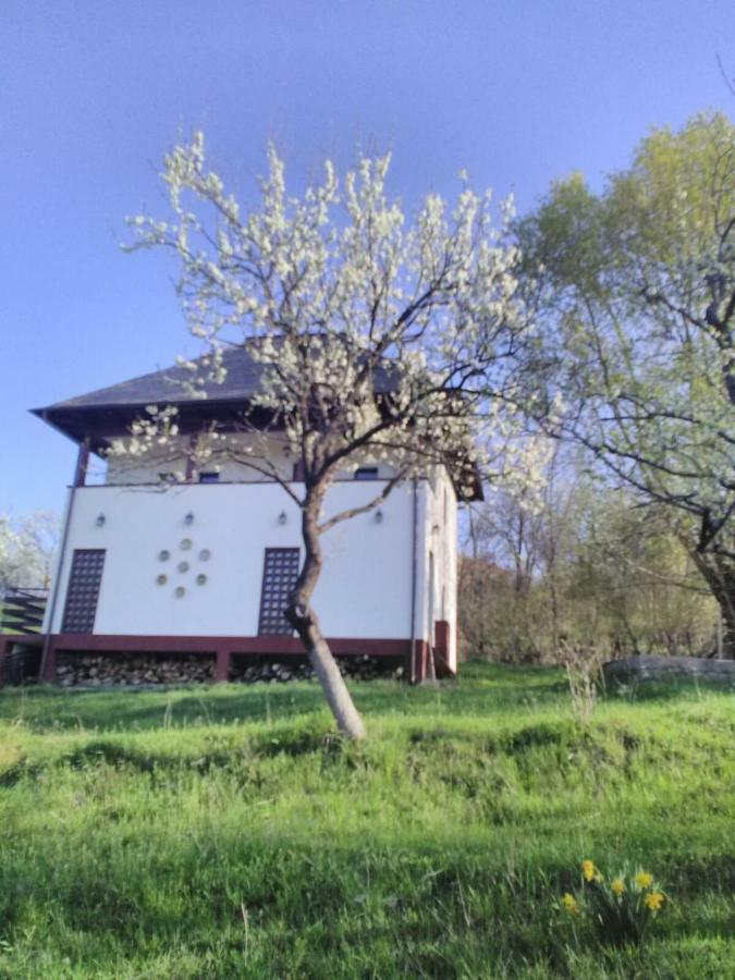 Cottage Poe Poienari Bagian luar foto